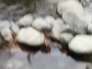 Nothing in the river 13/16