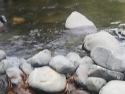 Nothing in the river 6/16