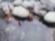 Nothing in the river