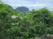 I met a stranger in the forest and he came inside me 1/16