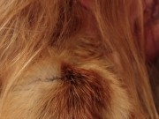 Real couple homemade sex! Close up redhead blowjob and missionary fuck! 6/16