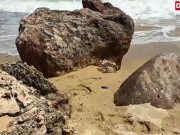 Julia Pink Gives Dogging Session While Sucking Cock At The Beach - Mydirtyhobby 3/16