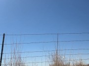 Piss Slut pissing on side of road! 15/16