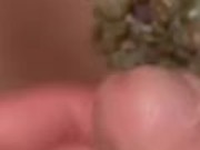 Grapes and horny 3/16