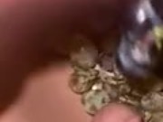 Grapes and horny 4/16