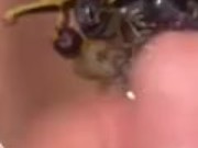 Grapes and horny 8/16