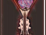 smurcteezdotcom 9/16