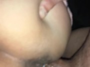 Bootylicious butterfly 16/16