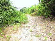 Cogiendo a escondidas a orillas del río 4/16