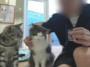 【個人撮影】 可愛い水着を着た彼女と仰向けフェラ♡そして愛情たっぷりの吸いながらのバキュームフェラチオで最後は口内射精♡／Japanese amateur hentai 15/16