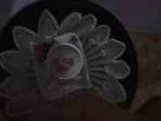 ALEXANDER AUDRAN AND HIS PERVERSION ON HALLOWEEN NIGHT | HORROR vs PORN 8/16