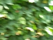 Public boob show before gardener made me cum 13/16