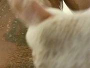 BBC Shower Time 10/16