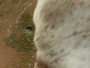 BBC Shower Time 11/16