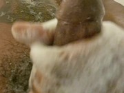 BBC Shower Time 4/16