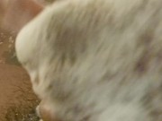 BBC Shower Time 9/16