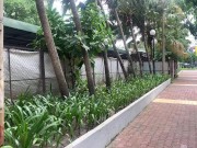 I'm eating rambutan in saigon 3/16