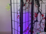 Sheer lingerie try on haul 2024 6/16