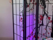 Sheer lingerie try on haul 2024 7/16