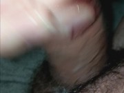 Good Morning Mr. Wood 6/16