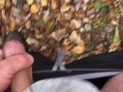 Pee Desperation With Masturbation Attempt But It Was Too Cold Outside For My Cock To Get Hard 8/16