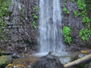 I love sucking strangers' cocks in the nature 16/16