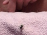 Zoomed pussy fingering. Tight virgin girl masturbate 3/16