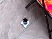 Sexy busty tattooed Elena Heiress has interracial sex 7/16