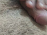 Pajaconlospiesdelavecina 3/16