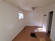 Cute Boy Deep Cleans Living Room - Washing & Scrubbing 8/16