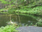 my dirty morning stretch routine ~ yoga, pissy dildo riding & more 6/16