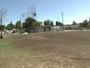 Sexy and slender Latina brunette, Amia Miley, gets it on with a tattooed Asian man in this hot sex.