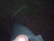 Onthe way to home my dick getting hard, i give it to small fun 2/16