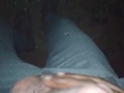 Onthe way to home my dick getting hard, i give it to small fun 5/16