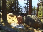 She Loves his Big Cock 8/16