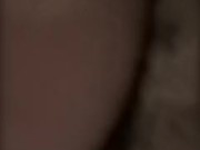 MONARCH-BDSM(BARONET)13.34 11/16