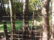 Zombie Girl Found in the Forrest Gives a Deepthroat Blowjob and Cum Suck 2/16