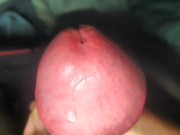 Throbbing Big Fat Mushroom Dick Cumming 11/16