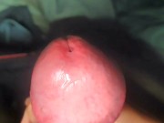 Throbbing Big Fat Mushroom Dick Cumming 12/16