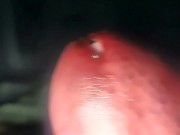 Throbbing Big Fat Mushroom Dick Cumming 4/16