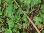 Pissing outdoors on a beautiful day 1/16