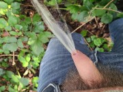 Pissing outdoors on a beautiful day 5/16