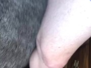 SEXY LOW HANGING BALLS DANGLING HOURGLASS SCROTUM 13/16