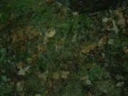 The Ultimate Solo Male Outdoor Pissing Compilation 13/16