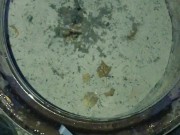 The Ultimate Solo Male Outdoor Pissing Compilation 15/16