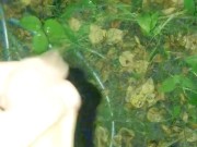 The Ultimate Solo Male Outdoor Pissing Compilation 9/16