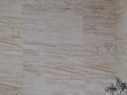 Нравится моя киска в душе 4/16