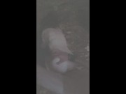 Amateur couple fucking in the rain in the night forest 13/16