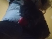 Giant Demon Bunny Fucks a Building 8/16