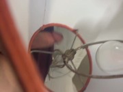 Glory Hole with Tight Lamp Shade 8/16